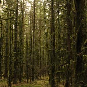 Can We Go Back (Demo) (Demo) (Demo)