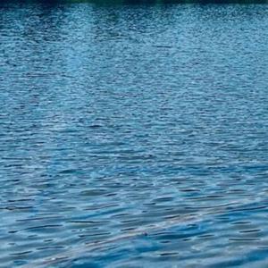 Ripples
