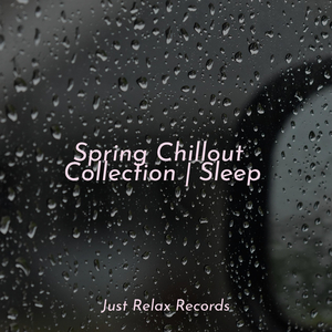 Crystal Carriage Ride