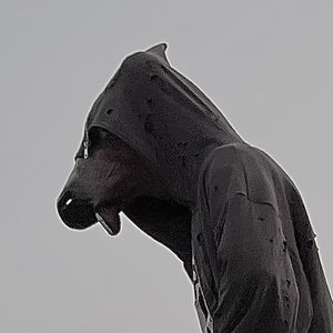 ЧЕТВЁРТОЕ МАЯ