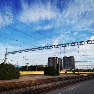 生活在别处的你 口琴版