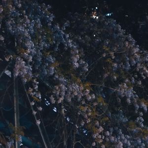 Sad Luv (Prod by.Jeston)