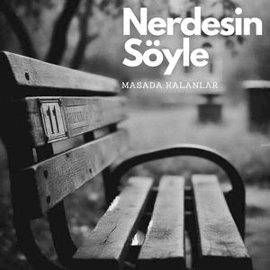 Nerdesin Söyle