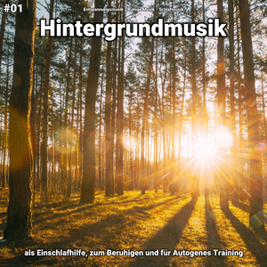 Hintergrundmusik, Pt. 29