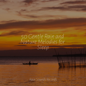 Echoes of Misty Glass