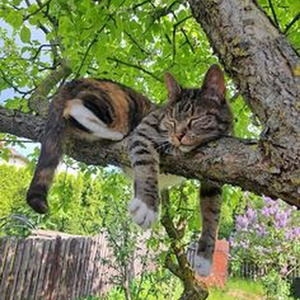 INIZIAMO DALLA FINE (slowed)