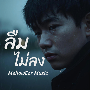 ลืมไม่ลง