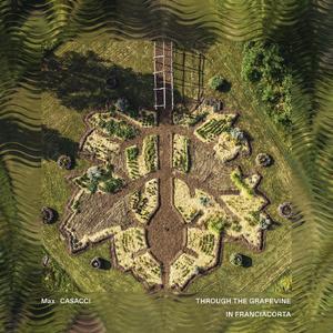 Trattore ((Vendemmia cassa dritta))