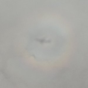 何以为我3#百万奖金AI创作大赛+主题二