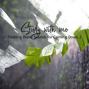 Trickling Water Sounds for Calming Down, Pt. 3