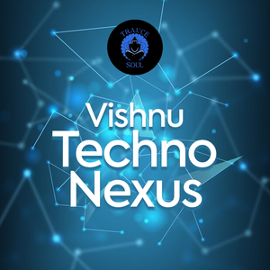 Vishnu Techno Nexus