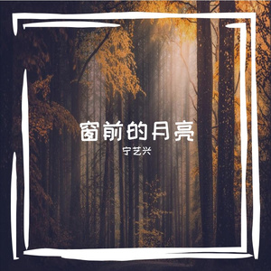 窗前的月亮