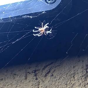 No Way(prodd.kdawnz)