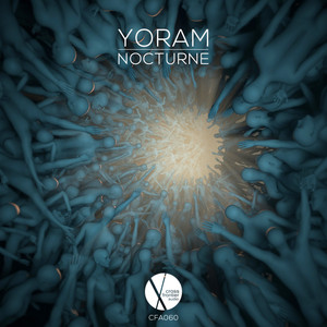 Nocturne (Modd Remix)
