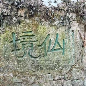 某日我也会走入昏茫夜色