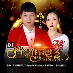 挡不住的思念（DJ版）