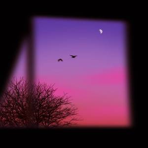 ช่วงชีวิตหนึ่ง