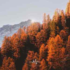 天空下 (冥想打坐古琴曲)