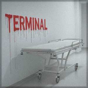 Terminal