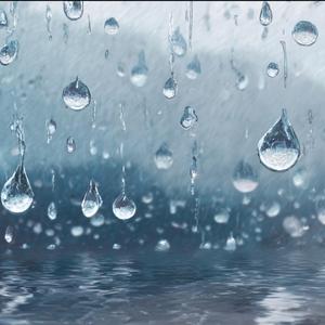 雨上がりの香りとメロディ