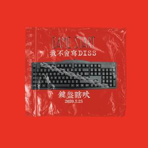 我不会写DISS