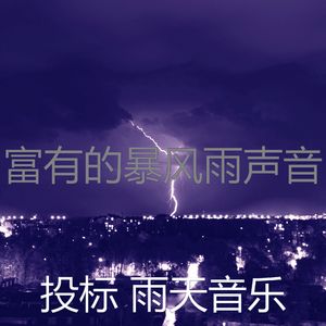 优美暴风雨器乐