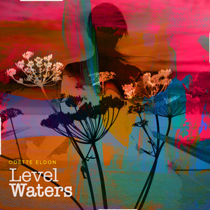 Level Waters
