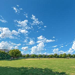 コーヒーの香りとメロディ