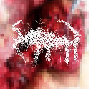 Industrial Degloving