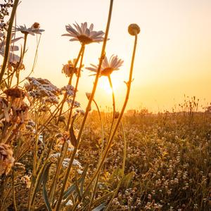 搞笑人类合集（纯音乐）