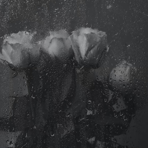 哪里都是你（副歌片段）