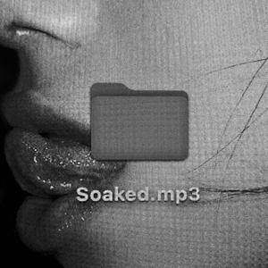 Soaked (feat. Shy Smith) (Remix)