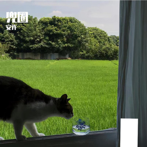 兜圈（cover林宥嘉）