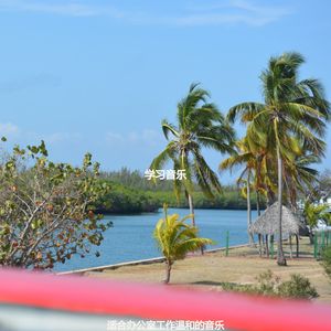 适合在家里工作容易点音乐