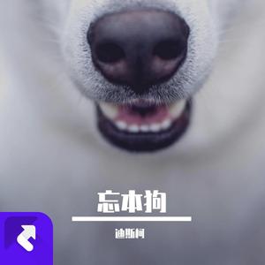 忘本狗 迪斯柯