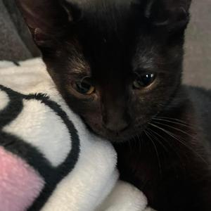 No one cares (about you)