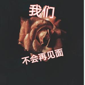 我们不会再见面
