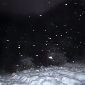 初雪prod.by Morrow