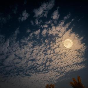 HIM (int.) (feat. TJW)