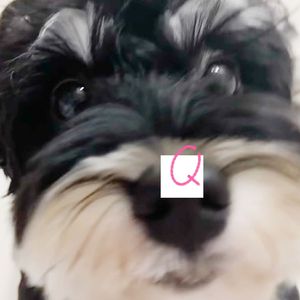 Love me again（Cover V）