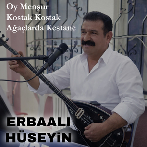 Oy Menşur - Kostak Kostak - Ağaçlarda Kestane