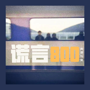 谎言800