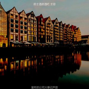 一尘不染酒店酒吧印象数