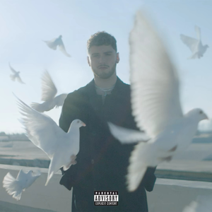 我认为爱是不需要教的(说唱版)