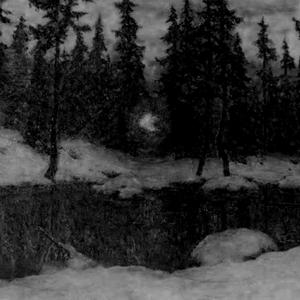 Winter Grave Below The Forest Midnight