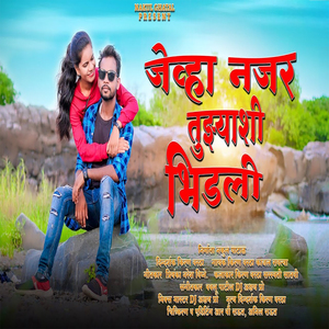 Jevha Najar Tujhyashi Bhidali