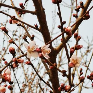 20210626_101610@格式转换