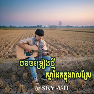 ស្មាដែកក្នុងវាលស្រែ