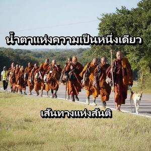 น้ำตาแห่งความเป็นหนึ่งเดียว | เส้นทางแห่งสันติ (Tears of Unity | Path of Peace)