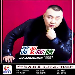 需要你陪（KTV发行版伴奏）